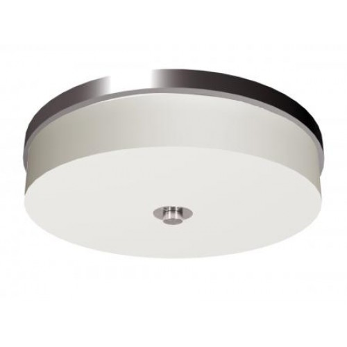 Ceiling Light - Hilton Garden Inn Bloom Series