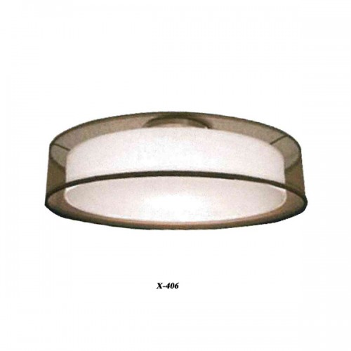 Ceiling Light