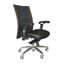 Desk Chair