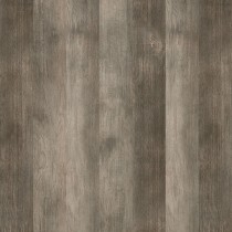 WILLOW 401-1