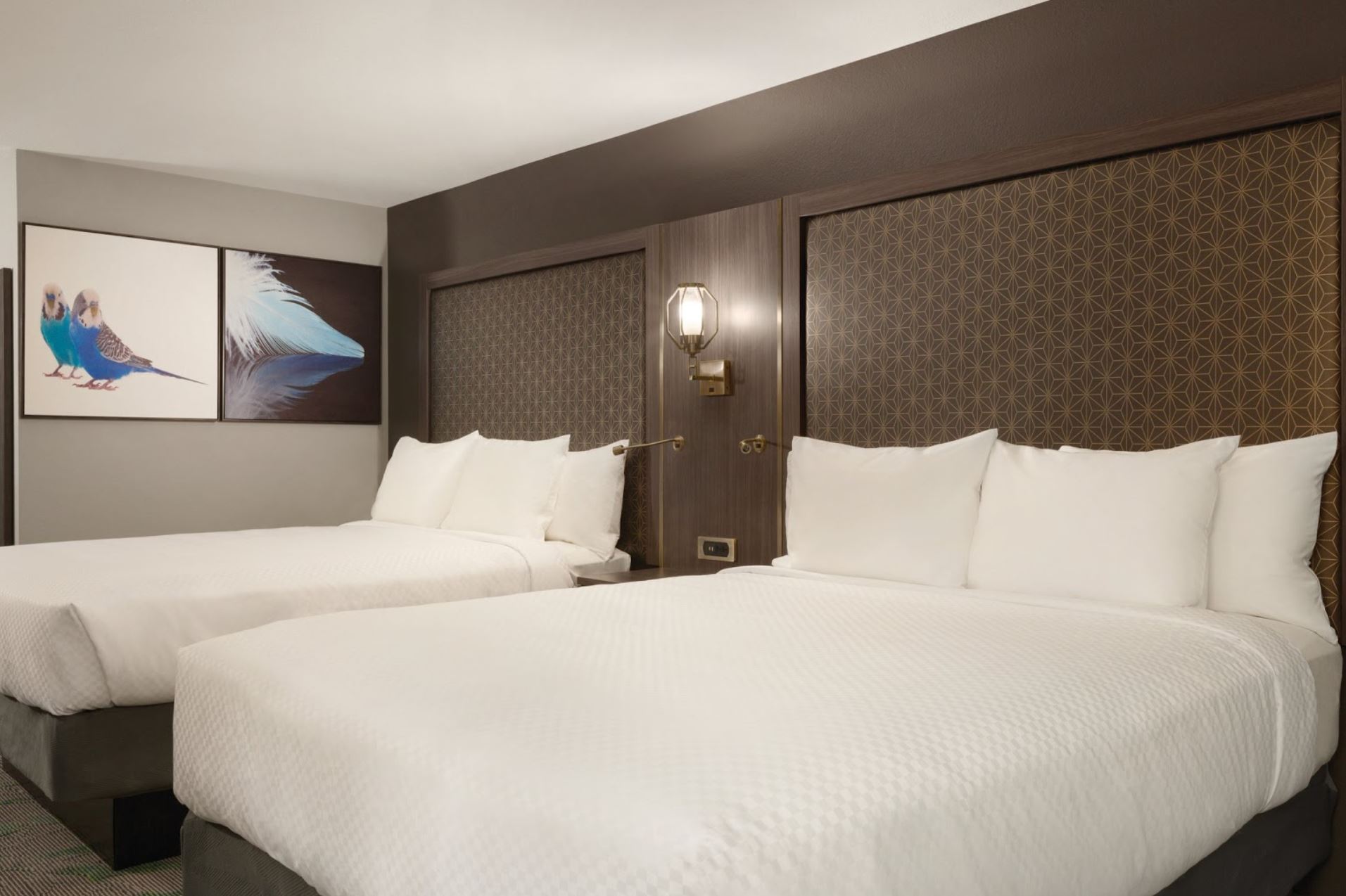 Radisson - McAllen, TX